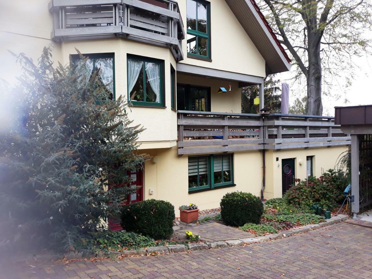 Ferienwohnung Oberloschwitz Dresden Bagian luar foto