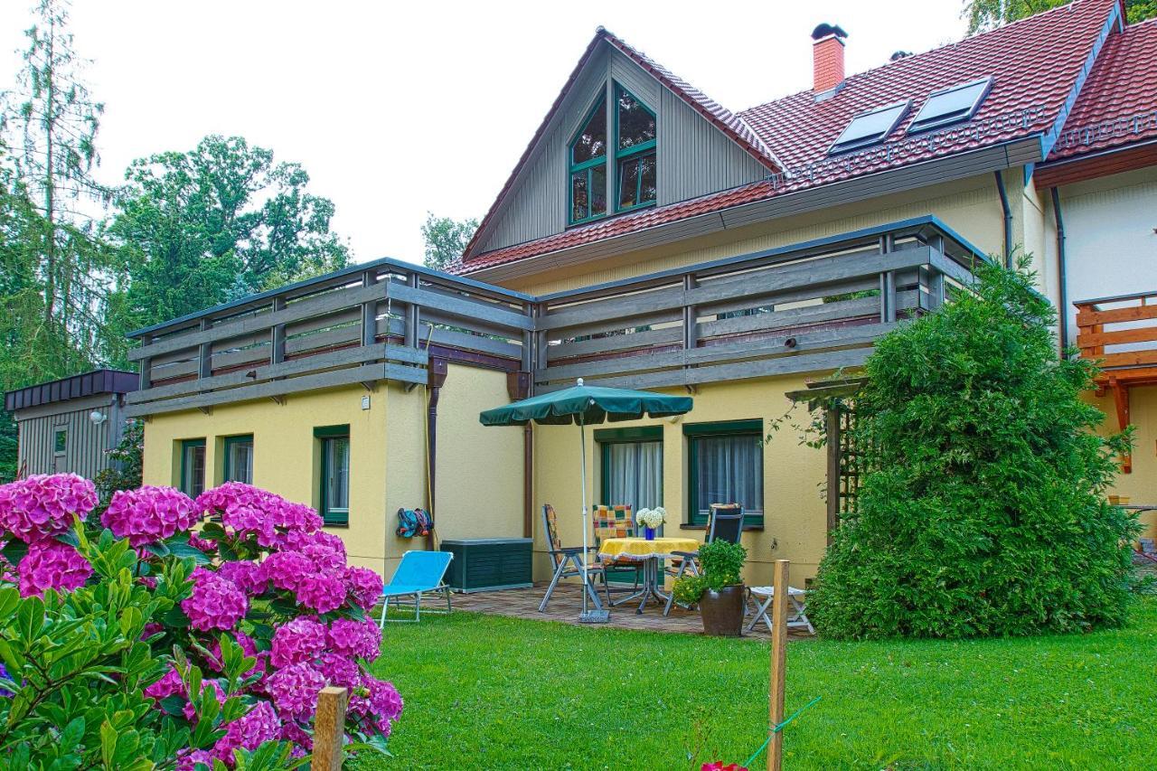 Ferienwohnung Oberloschwitz Dresden Bagian luar foto